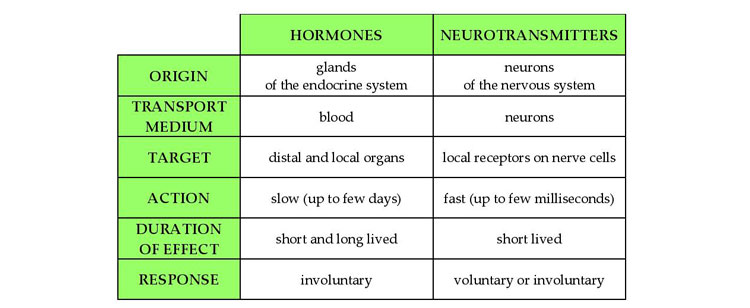 hormones-neurotransmitters