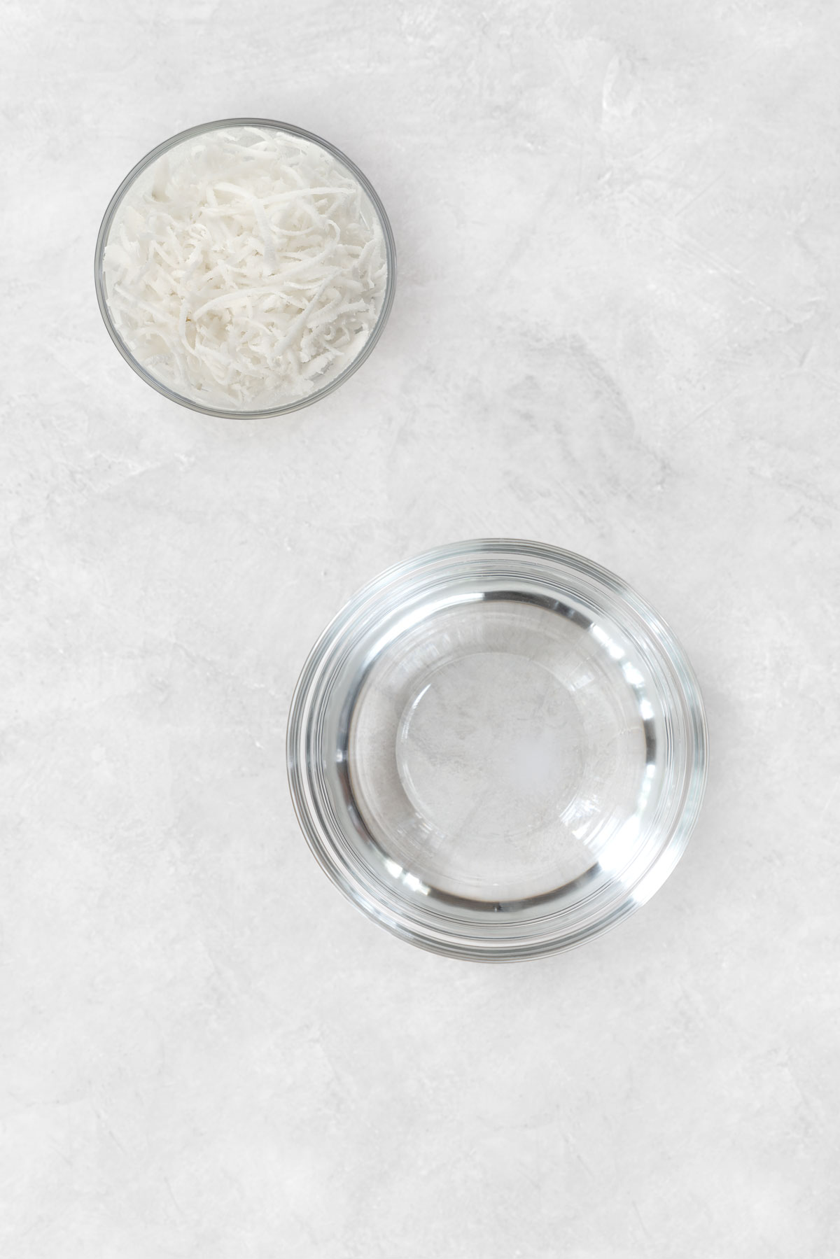 homemade coconut milk ingredients