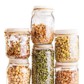 sprouted legumes in a jar