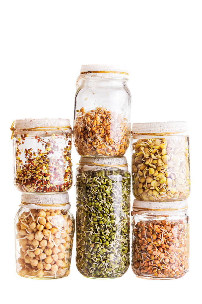 sprouted legumes in a jar