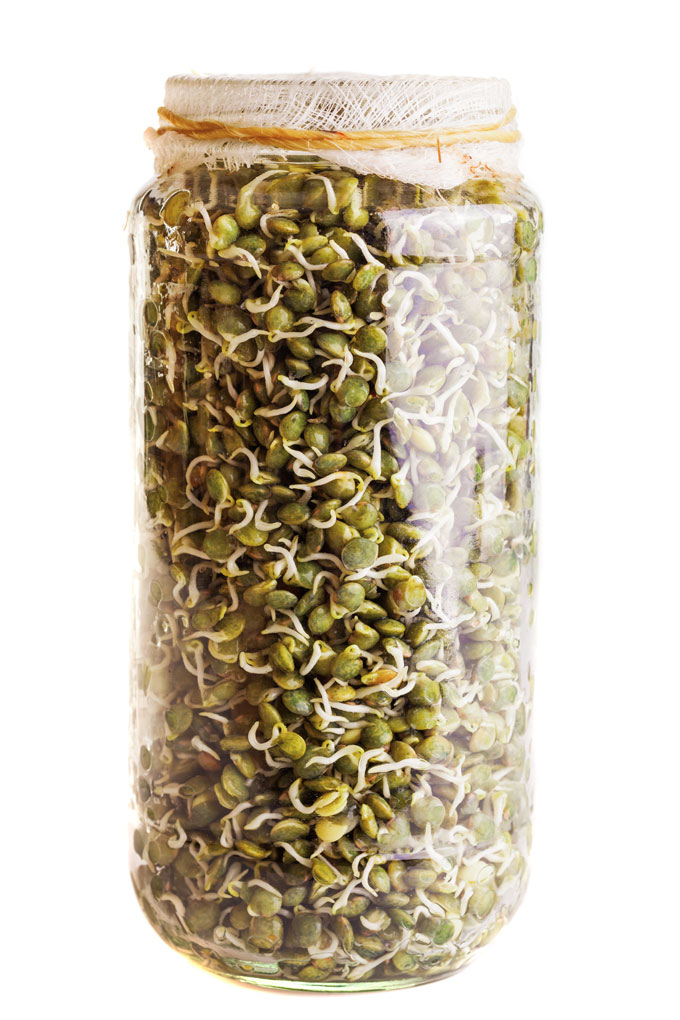 sprouting legumes, grains, nuts, seeds