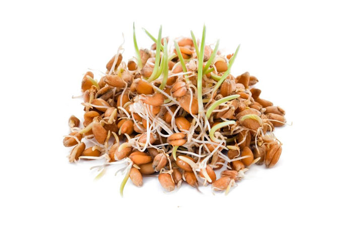 sprouting - sprouted grains