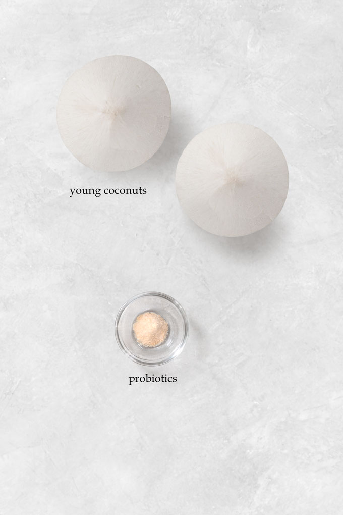 coconut yogurt ingredients