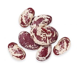 Christmas lima beans