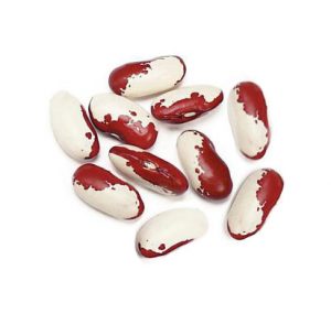 Jacob's cattle beans