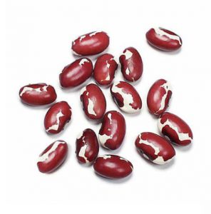 anasazi beans