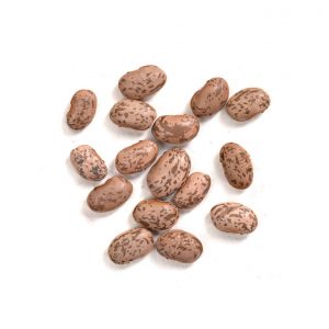 pinto beans
