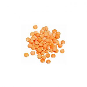 red chief lentils