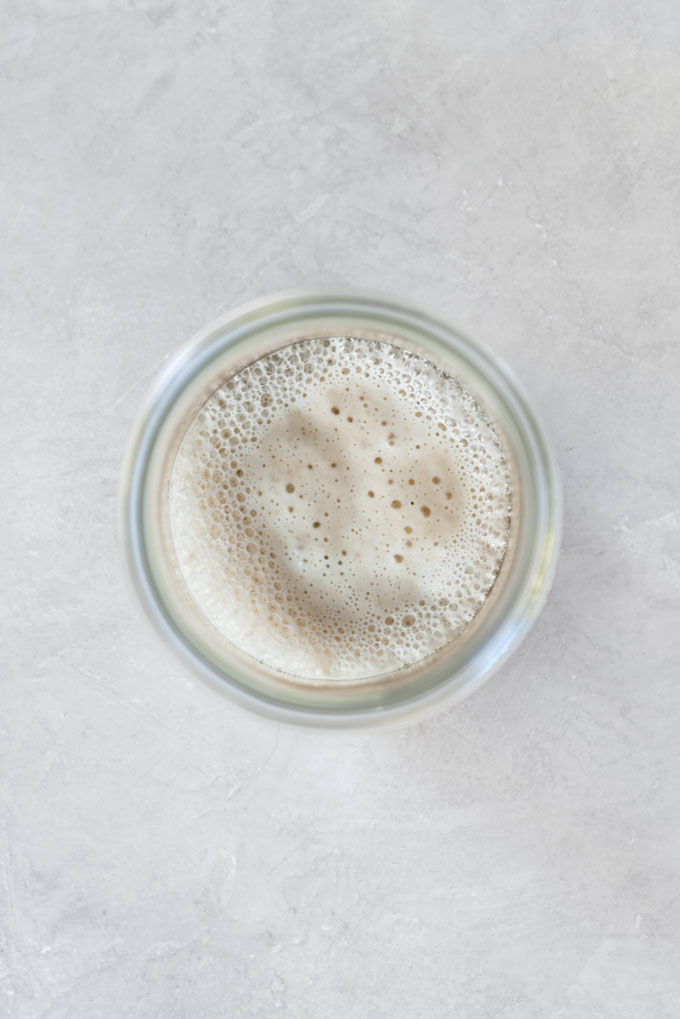 sourdough starter - gluten-free sourdough