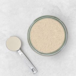 homemade protein powder