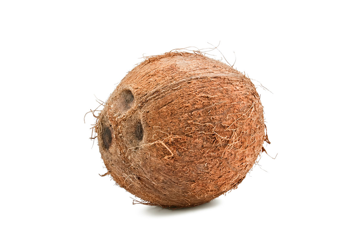 mature brown coconut