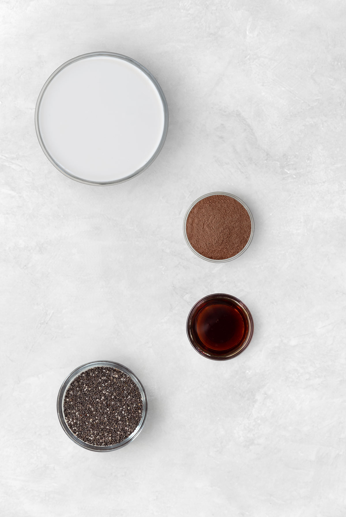 ingredients for chocolate chia pudding